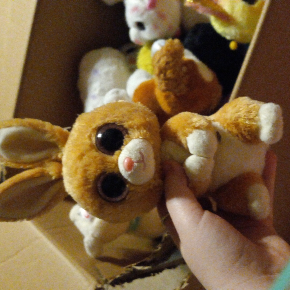 Rabbit pack